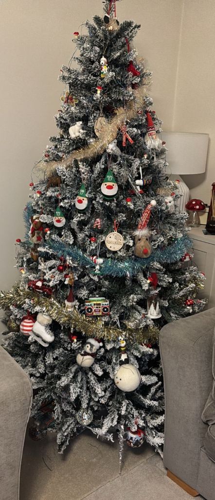 Free indoor Christmas tree. Without decorations 