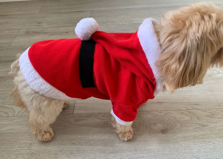 🎅🏻Santa Dog Outfit Velcro fastening ideal small dog 34cms chest 44cms length vgc