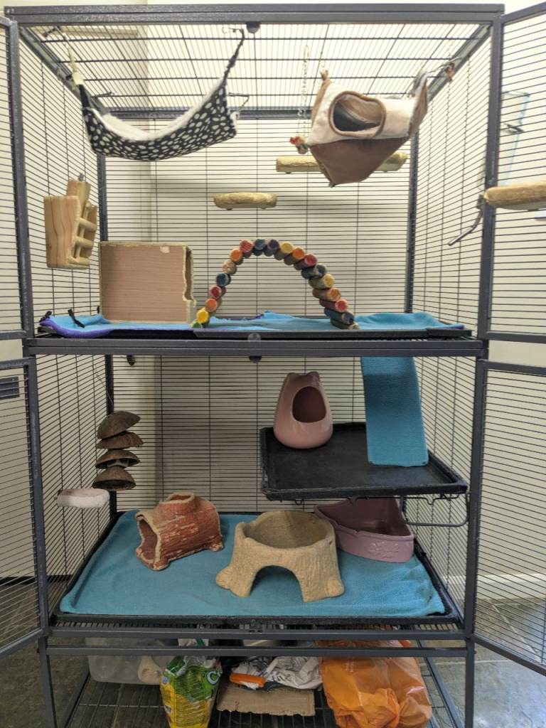 Chinchilla cage
