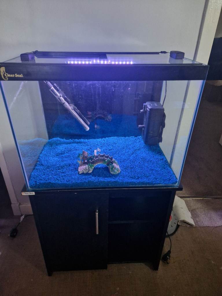Fish tank and stand 