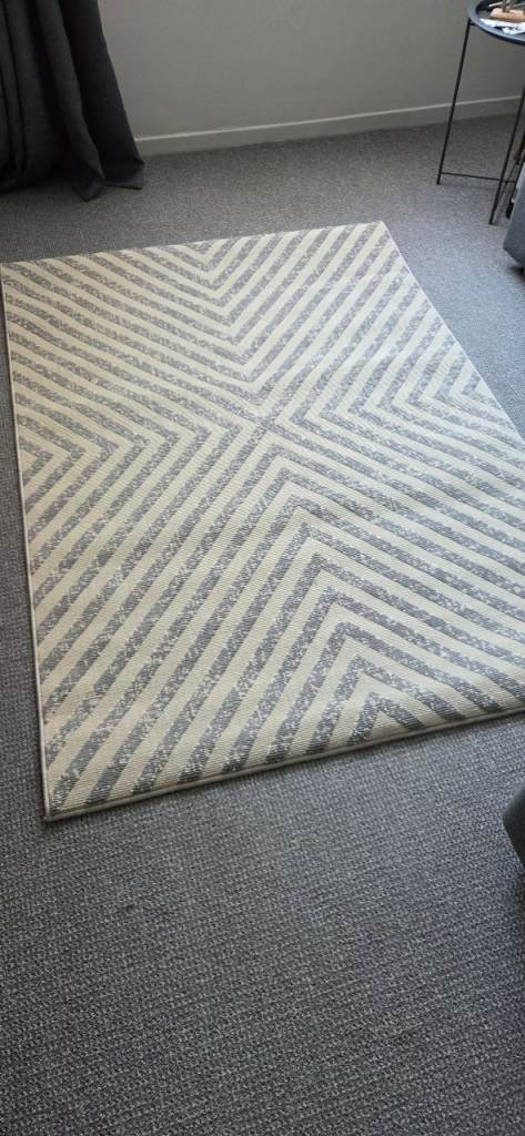 Brand new indoor / outdoor Rug