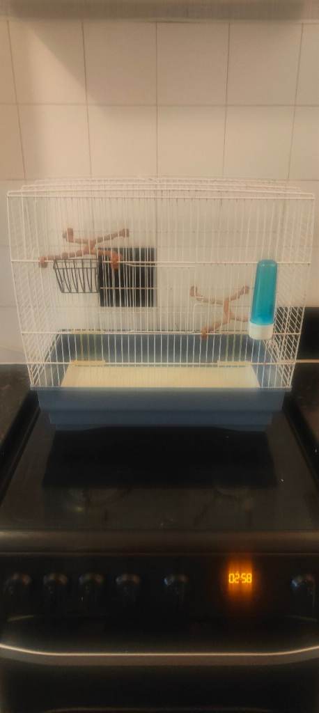 Bird cage