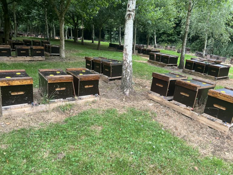 National Bee Nucs for sale 