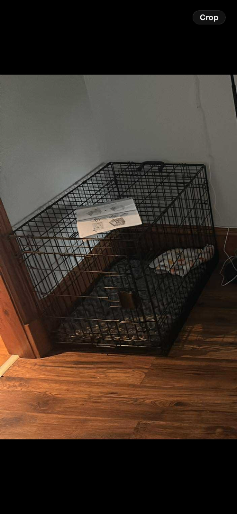 Dog cage 
