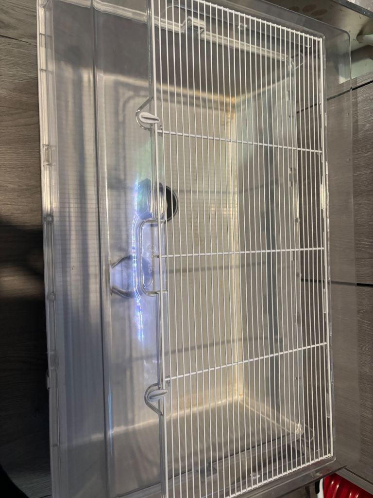 hamster  cage 