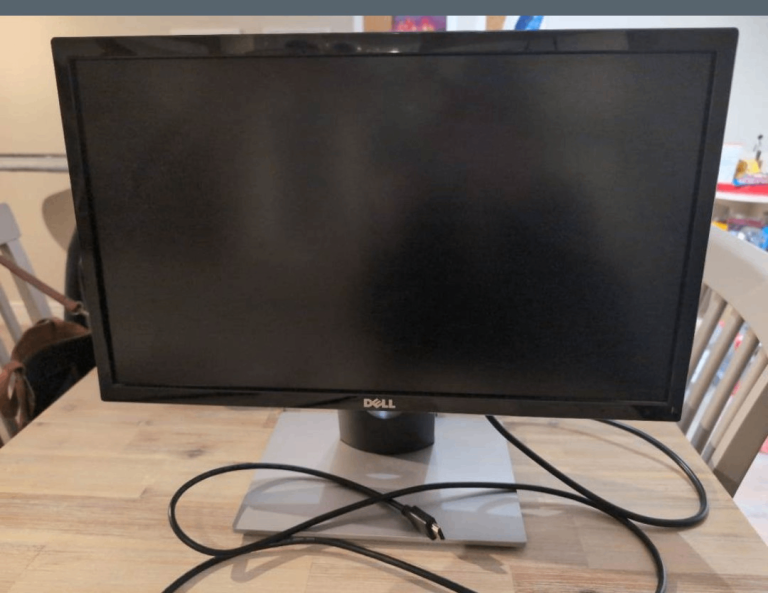 22 inch Dell Monitor 
