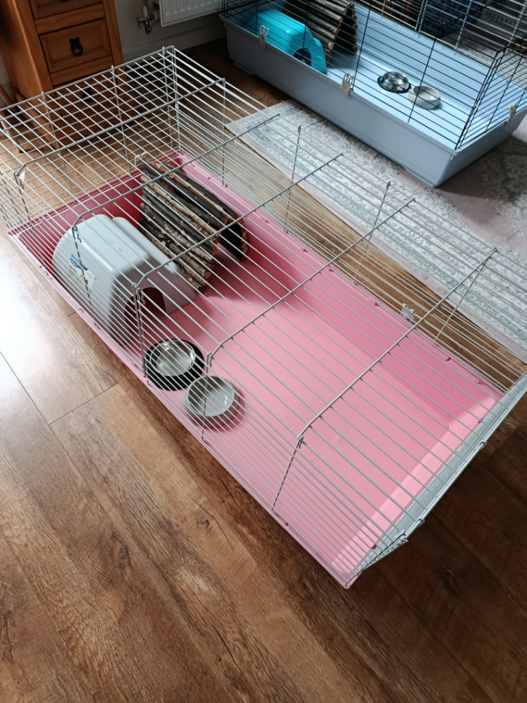 guinea pig cages