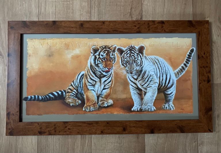 Tiger Cubs Landscape Photo Picture Framed Art *BRAND NEW*
