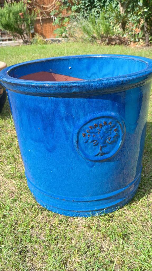 Blue terracotta plant pot 