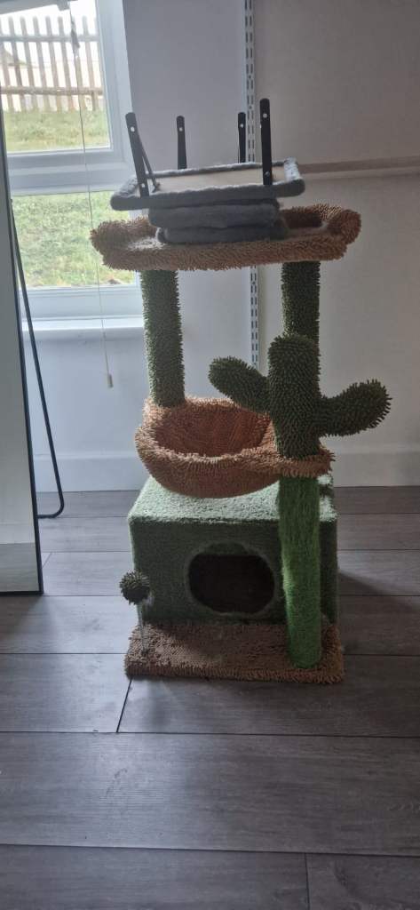 cats cactus cat tree