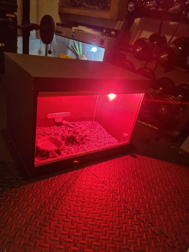 Vivarium  57.5 m/1.89f