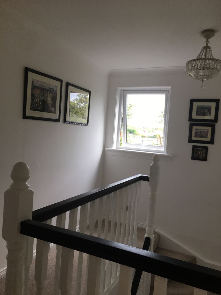 image for Avril Paton prints 