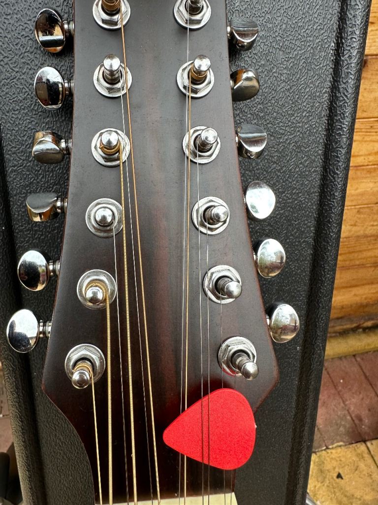 Ashton D25/12NTM 12-String Acoustic Guitar