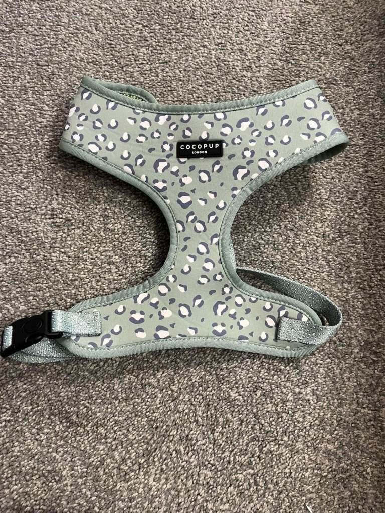 Large mint leopard print dog harness 