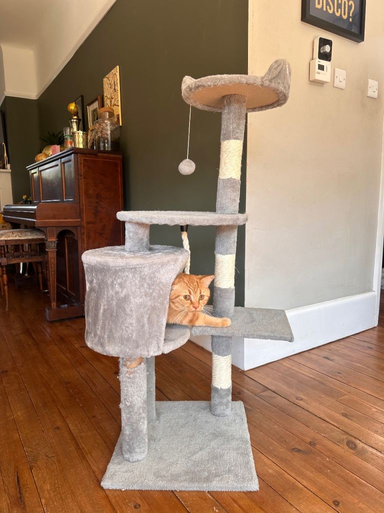 Cat Tree 