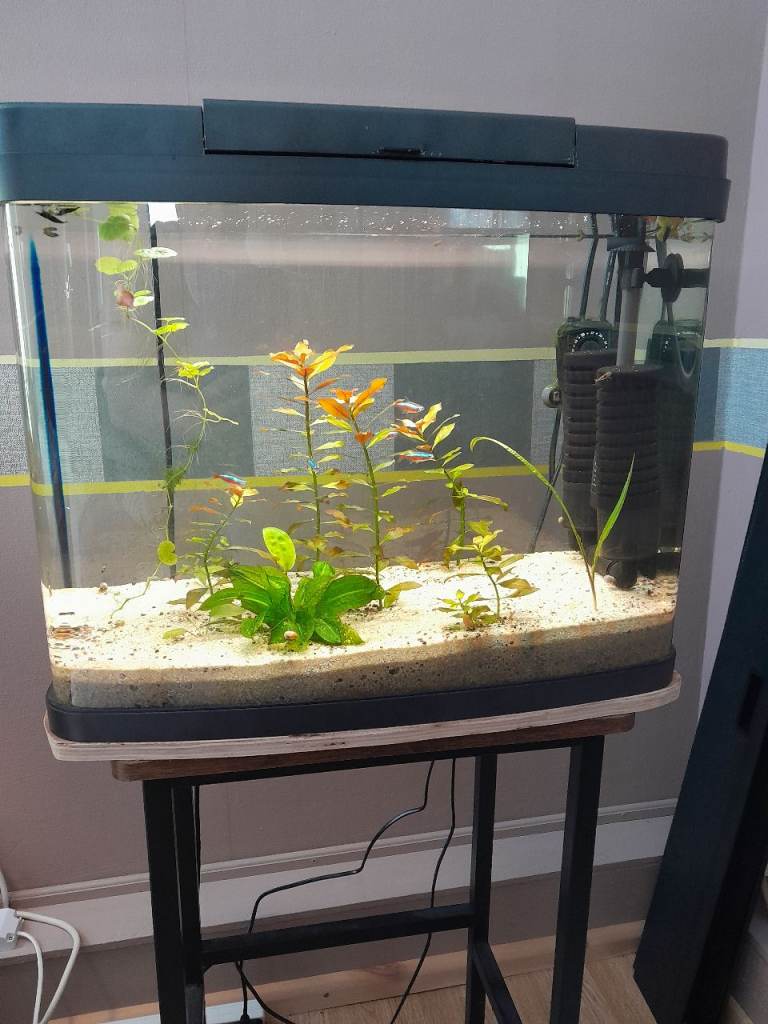 Fish Tank with stand