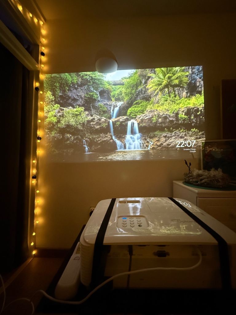 Projector Optoma hd29hst