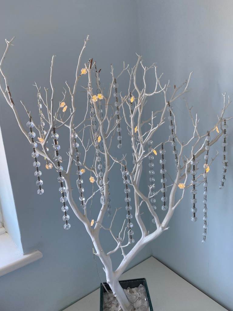 White Manzauita Tree