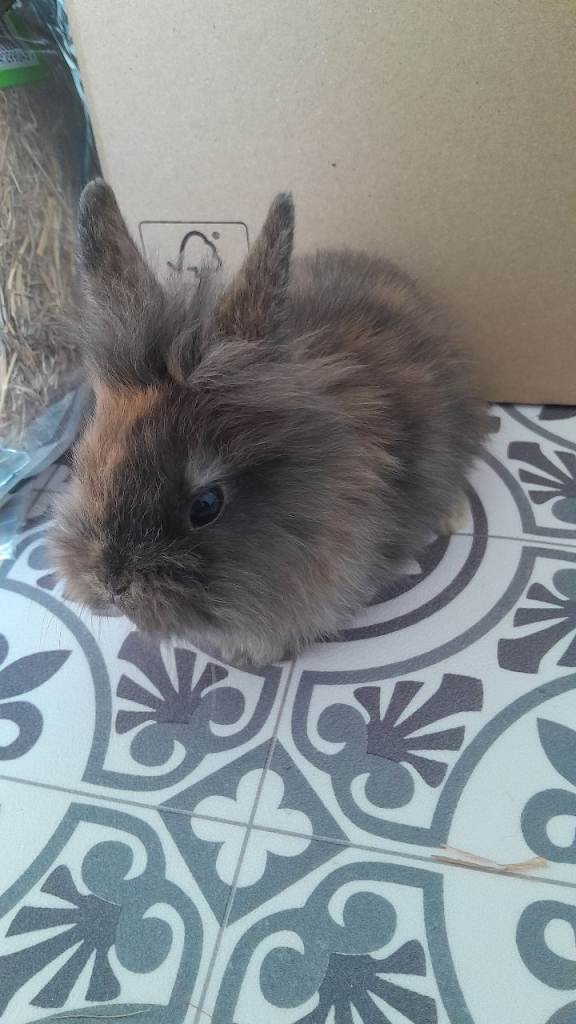 beautiful babies ready to leave! :) 