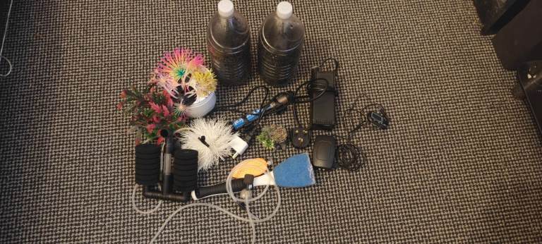 10 gallon aquarium setup 