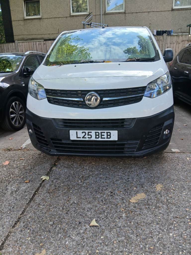 Vauxhall, VIVARO, Panel Van, 2019, Manual, 1499 (cc)