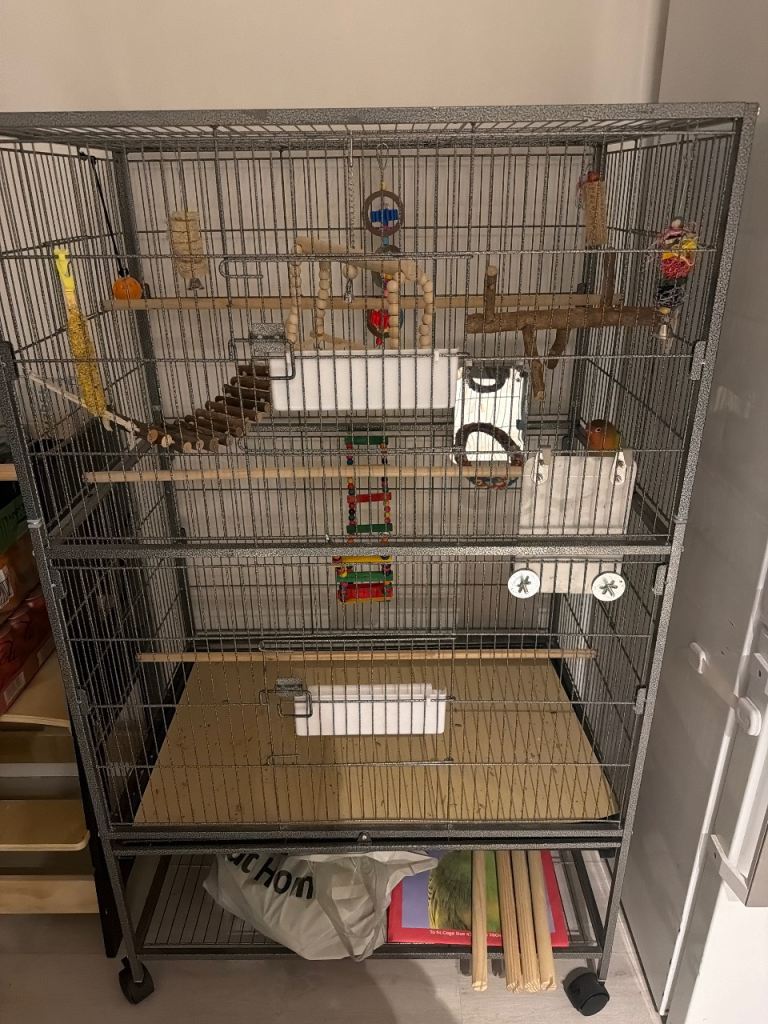 Extra large bird cage and large cage with lovebird 