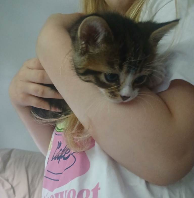 Two Gorgeous Girls Left (£200 for the together)