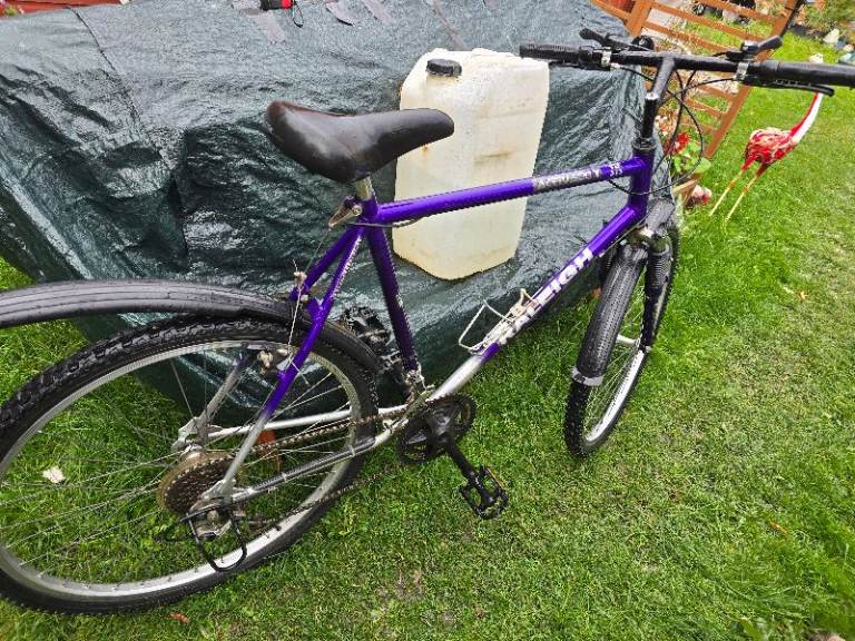 Raleigh mountain bike 