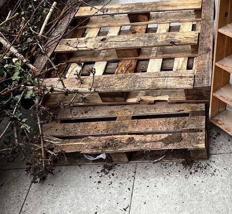 Two free pallets