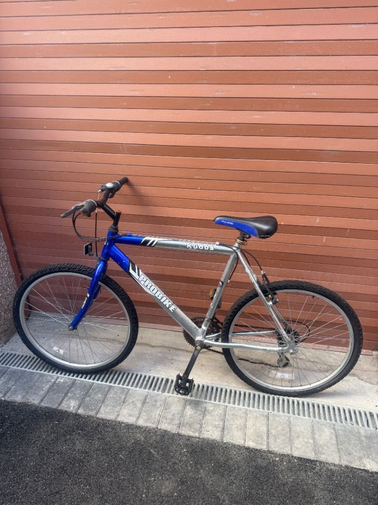 2 Bikes £50