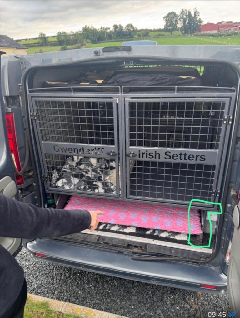 Dog van cages 