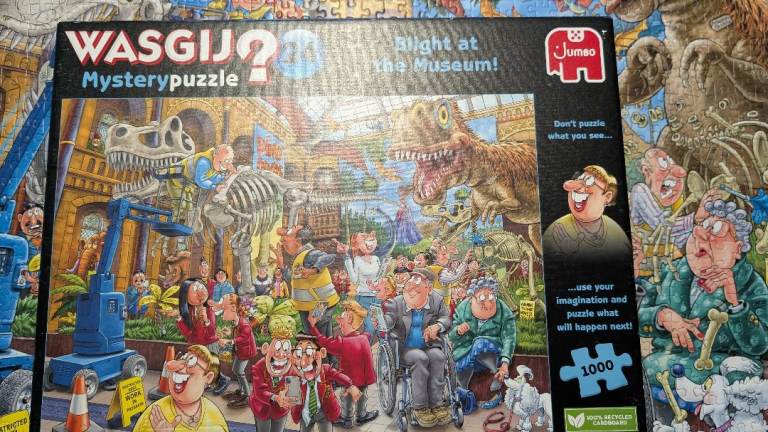 Wasgij? Mystery Puzzle 24 (1000 pieces)