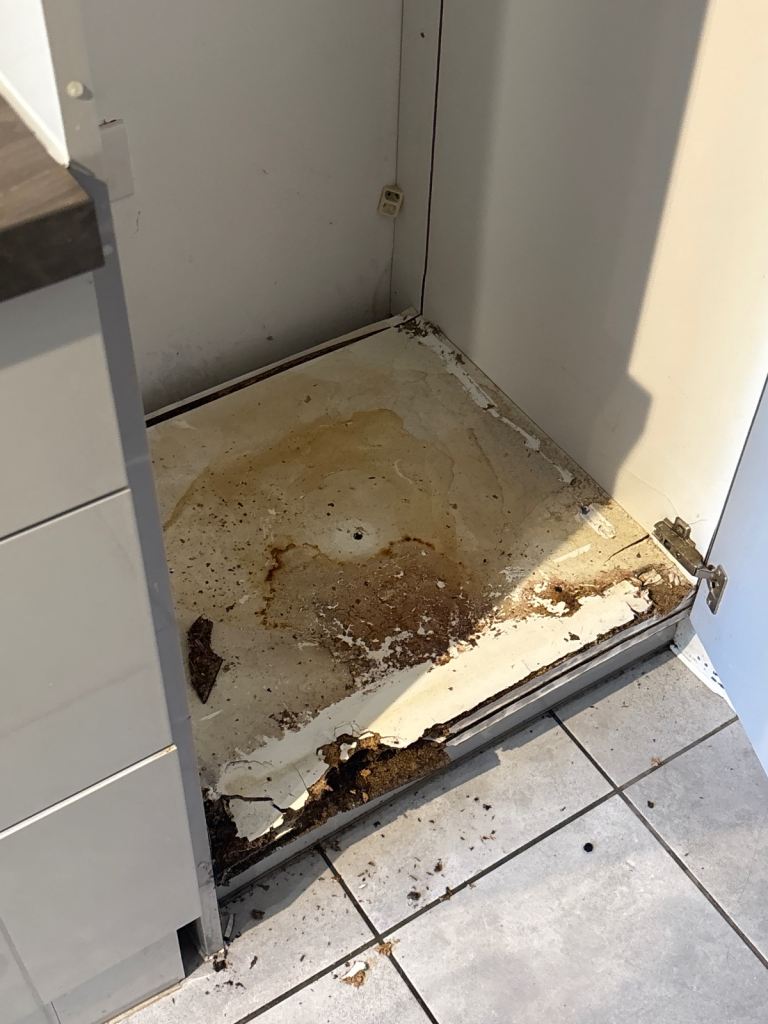 Handyman Needed – Remove & Rebuild Rotten Fridge Plinth