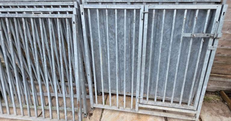 Galvanised outdoor dog enclosure pen