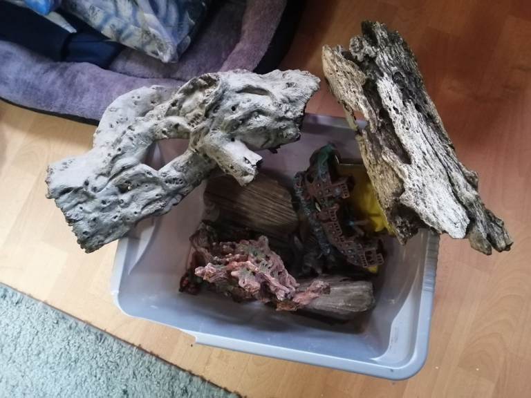 460 Litre Aquarium for FREE