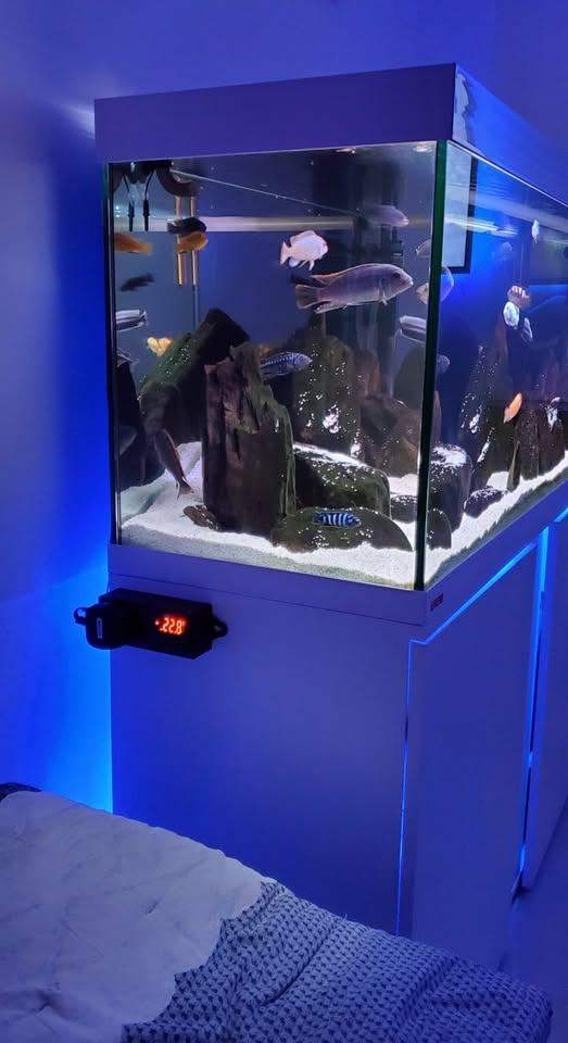 EHEIM VIVALINE 4FT 240LITERS FRESHWATER IN WHITE COLOR fish tank & cabinet only.