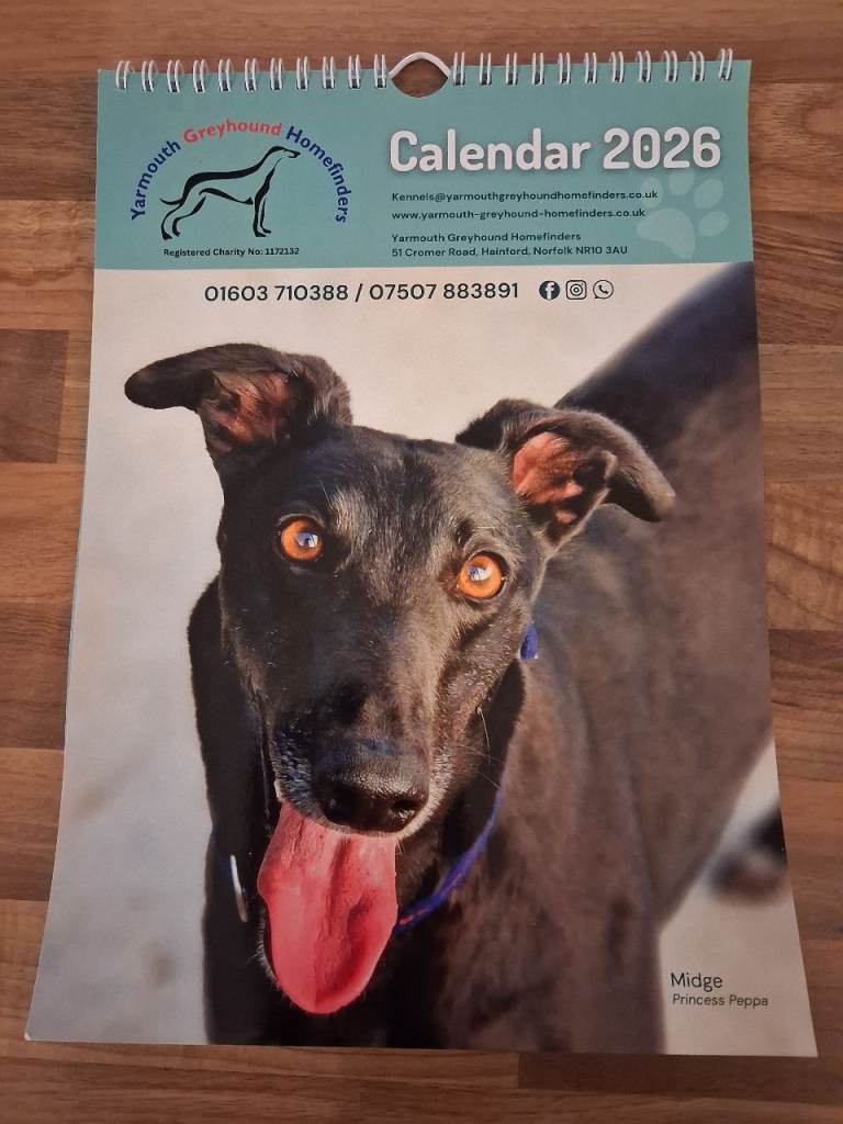 image for 2026 greyhound Charity Calendars A4 