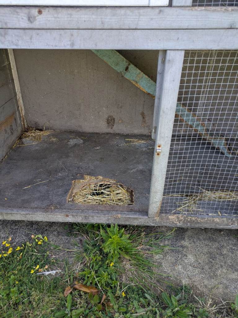 Rabbit Hutch and food