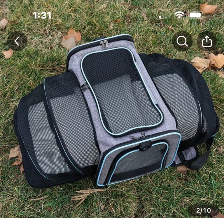 Small dog/ cat carrier