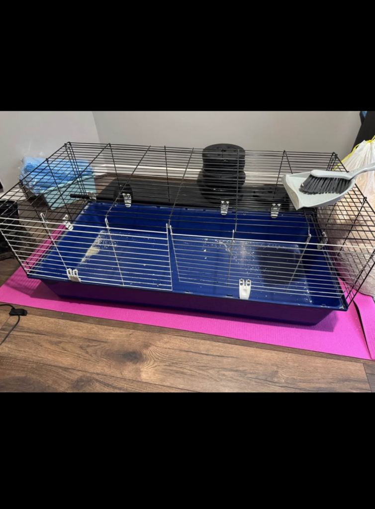 Guinea pig cage 