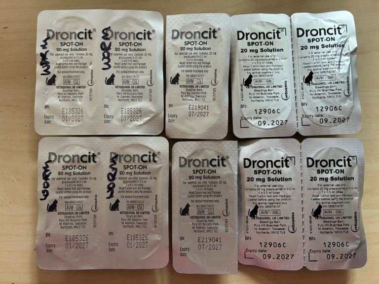 Droncit spot-on wormer liquid for cats