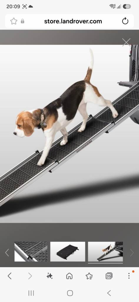 Landrover Dog Car Ramp