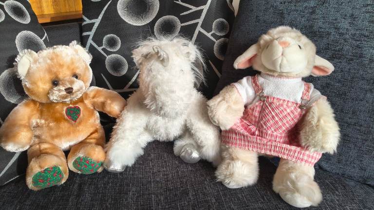 Bear Factory and Build-a-Bear Workshop Soft Toys Collection
