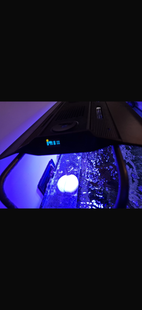 MAXSPECT RSX200 Marine lighting 