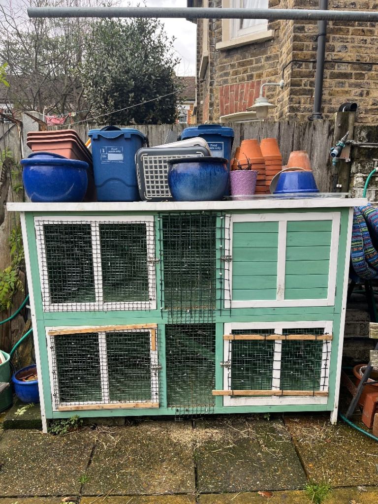 Pets at Home Bluebell Rabbit and Guinea Pig Hutch + Indoor Cage