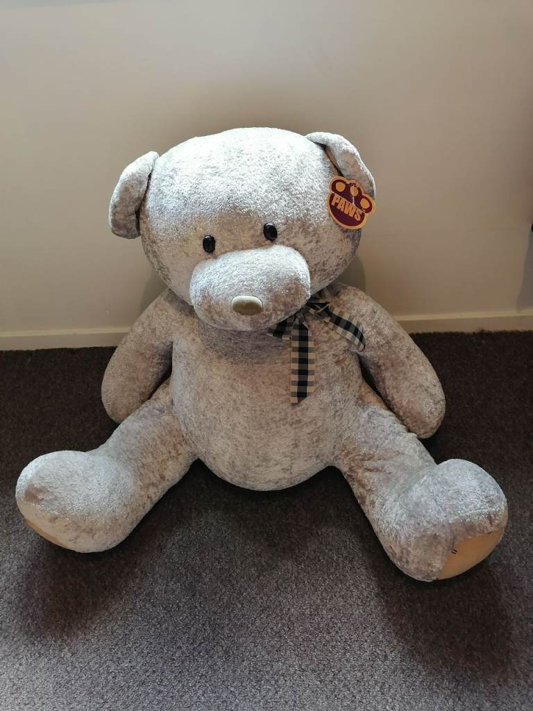 X large teddy bear 
