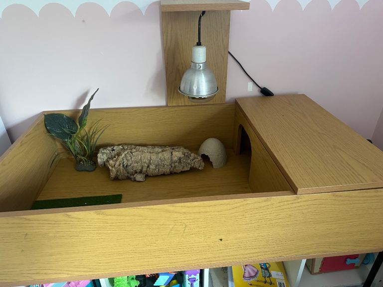 Tortoise enclosure 