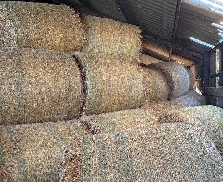WANTED - Hay or Haylage & Straw Bales ( Square or Round ) Nottinghamshire "Any Condition"