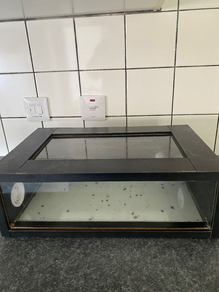 Small lidded vivarium in black , measurements on photos