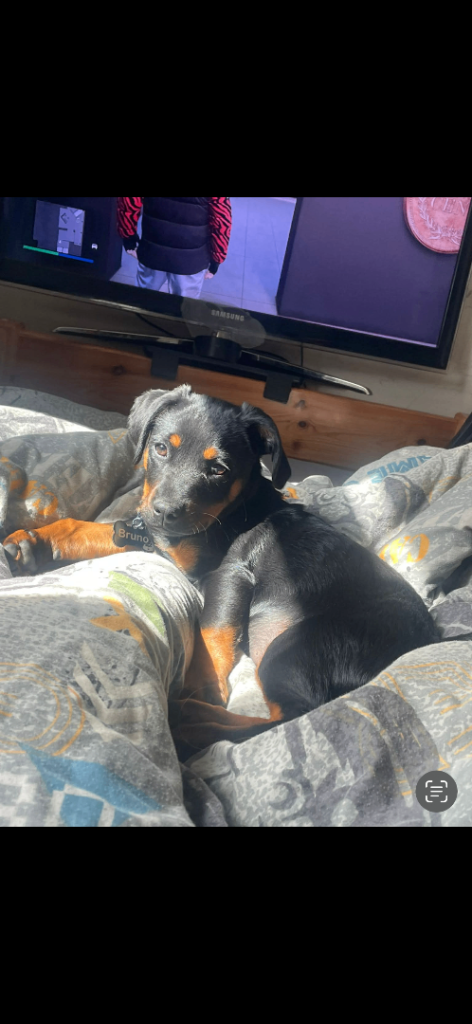 New home needed